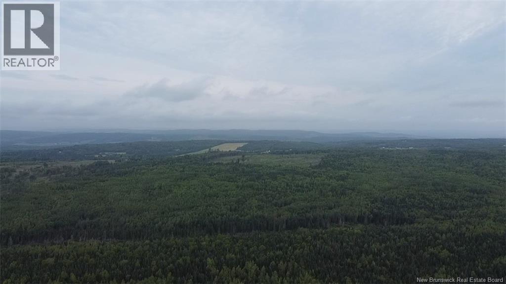 Off Drurys Cove Road, Ratter Corner, New Brunswick  E4E 3K9 - Photo 1 - NB144035