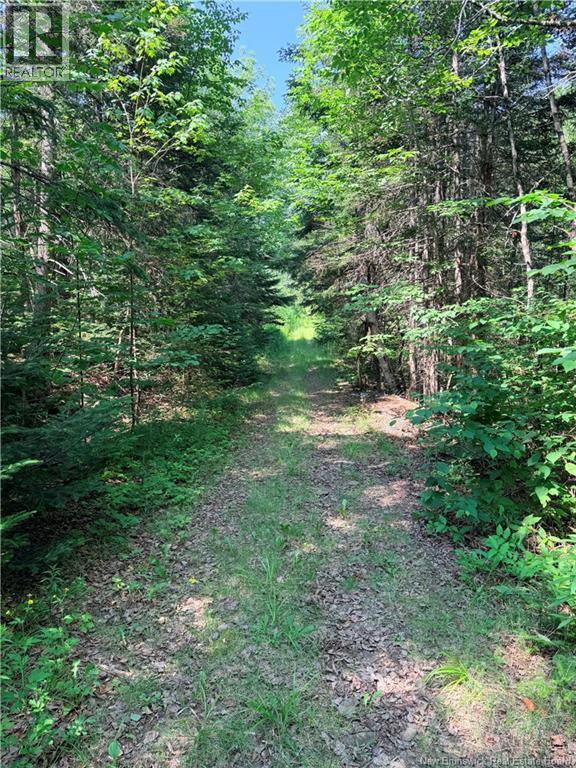 Off Drurys Cove Road, Ratter Corner, New Brunswick  E4E 3K9 - Photo 12 - NB144035