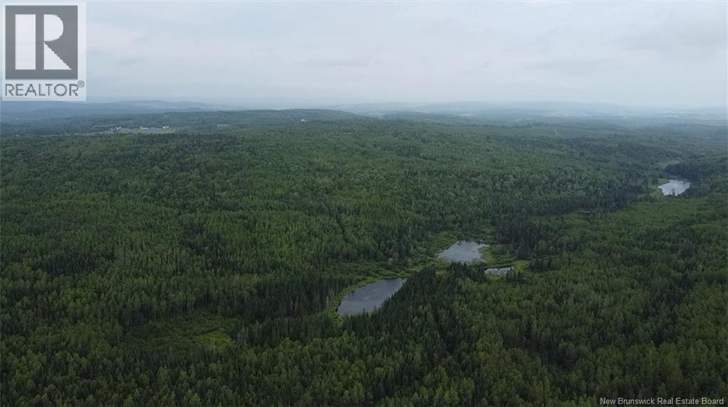 Off Drurys Cove Road, Ratter Corner, New Brunswick  E4E 3K9 - Photo 4 - NB144035