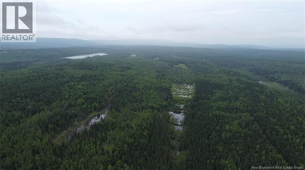 Off Drurys Cove Road, Ratter Corner, New Brunswick  E4E 3K9 - Photo 3 - NB144035