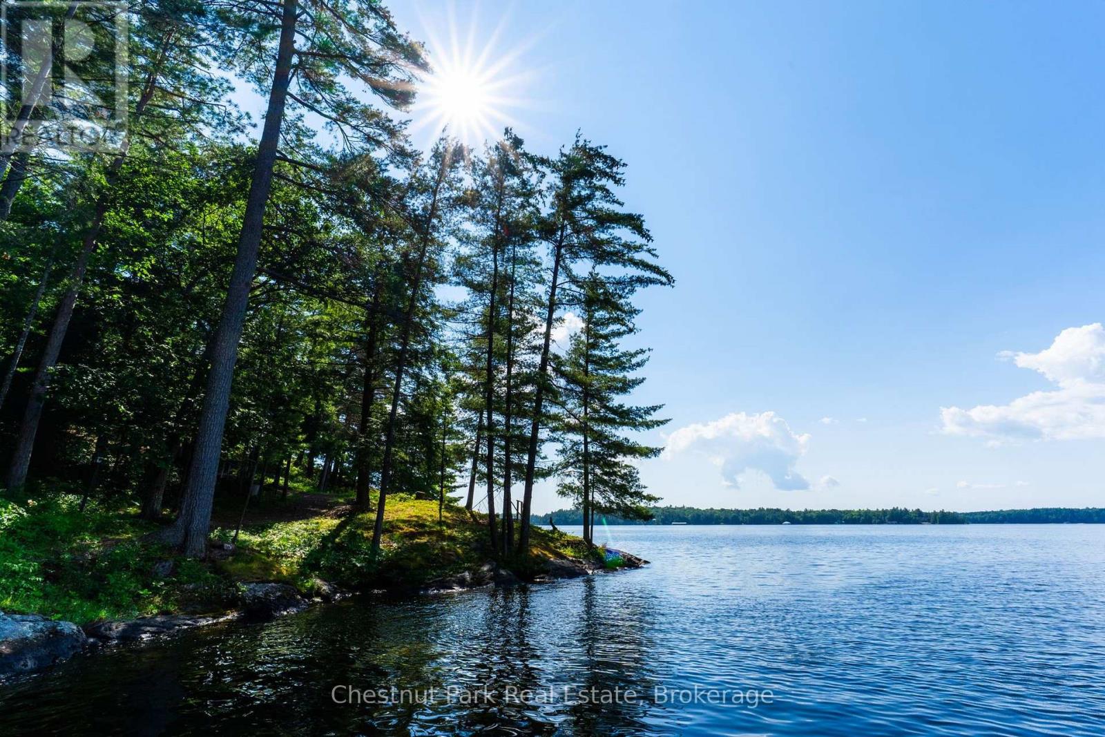 1218 Purdy Road, Muskoka Lakes, Ontario  P0B 1P0 - Photo 3 - X13563242