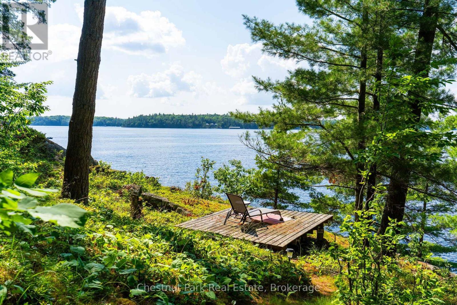 1218 Purdy Road, Muskoka Lakes, Ontario  P0B 1P0 - Photo 31 - X13563242