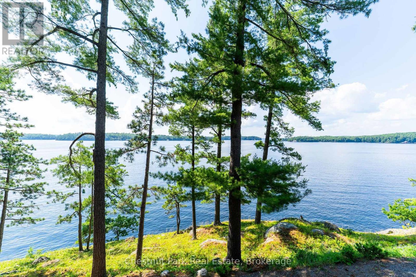 1218 Purdy Road, Muskoka Lakes, Ontario  P0B 1P0 - Photo 4 - X13563242