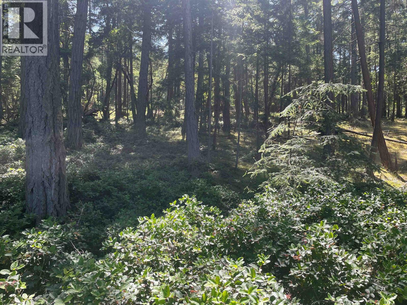 Lot 2 Valdes Island, Other Islands, British Columbia V0V 0V0 - Photo 19 - R3144895