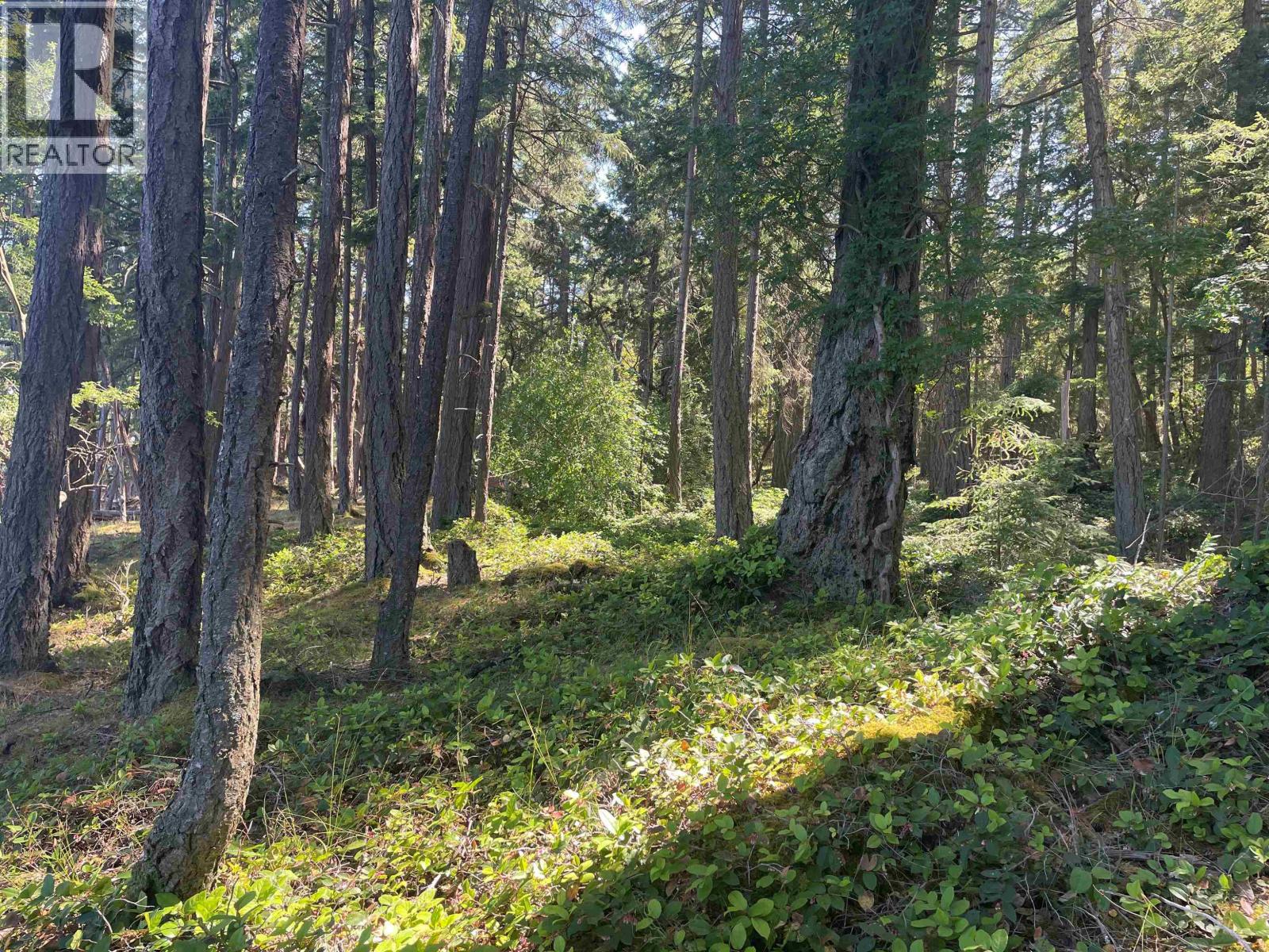 Lot 2 Valdes Island, Other Islands, British Columbia V0V 0V0 - Photo 13 - R3144895