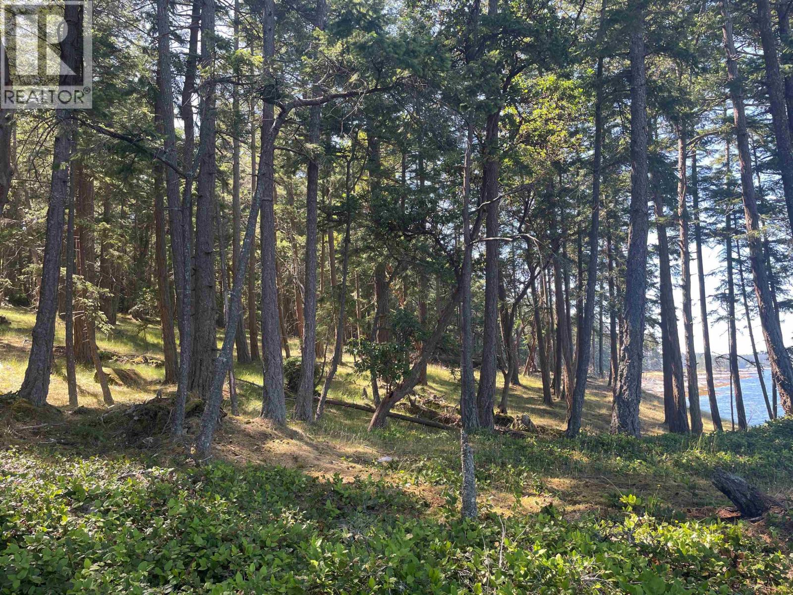 Lot 2 Valdes Island, Other Islands, British Columbia V0V 0V0 - Photo 30 - R3144895