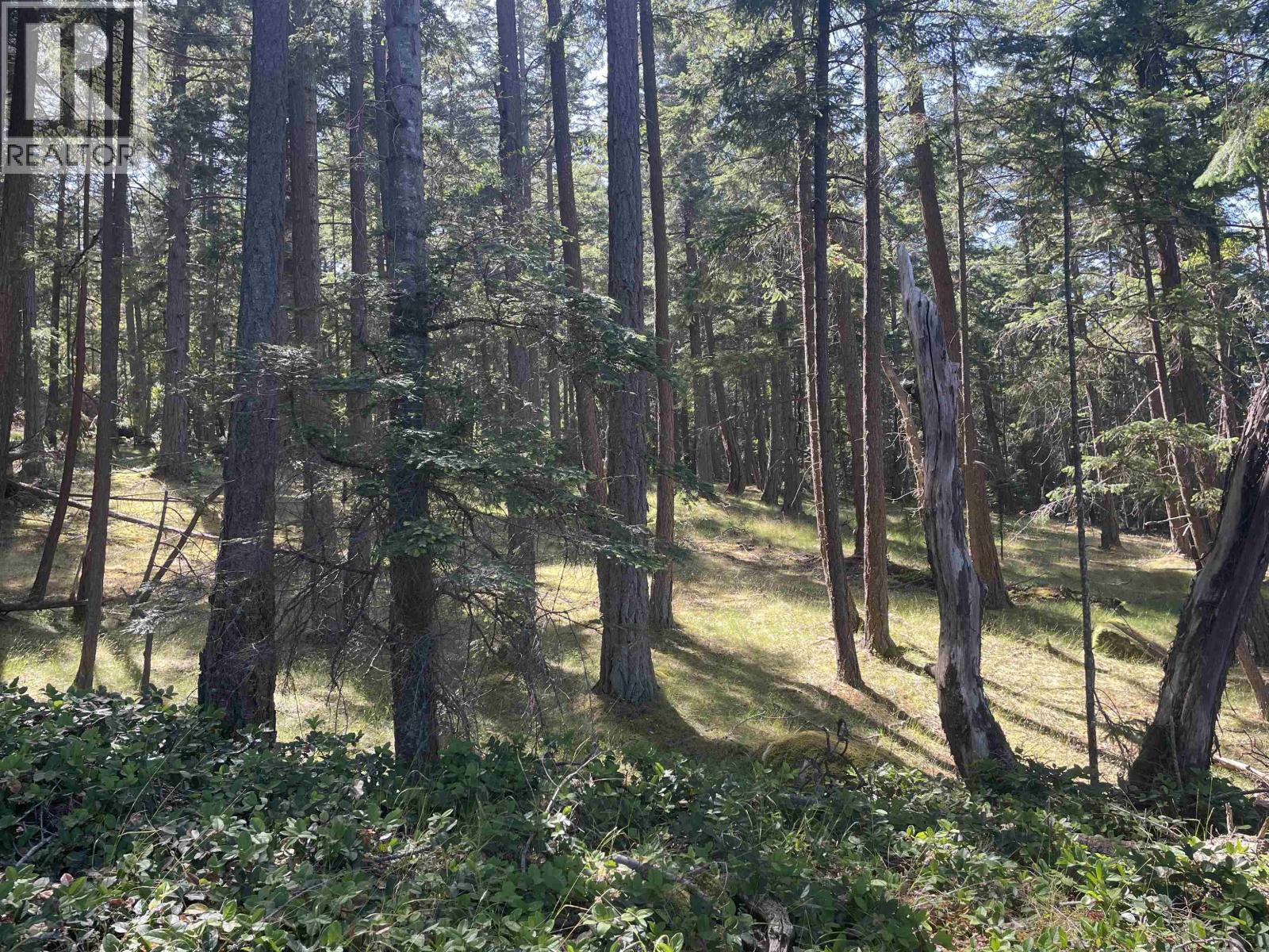 Lot 1 Valdes Island, Other Islands, British Columbia  V0V 0V0 - Photo 15 - R3144900