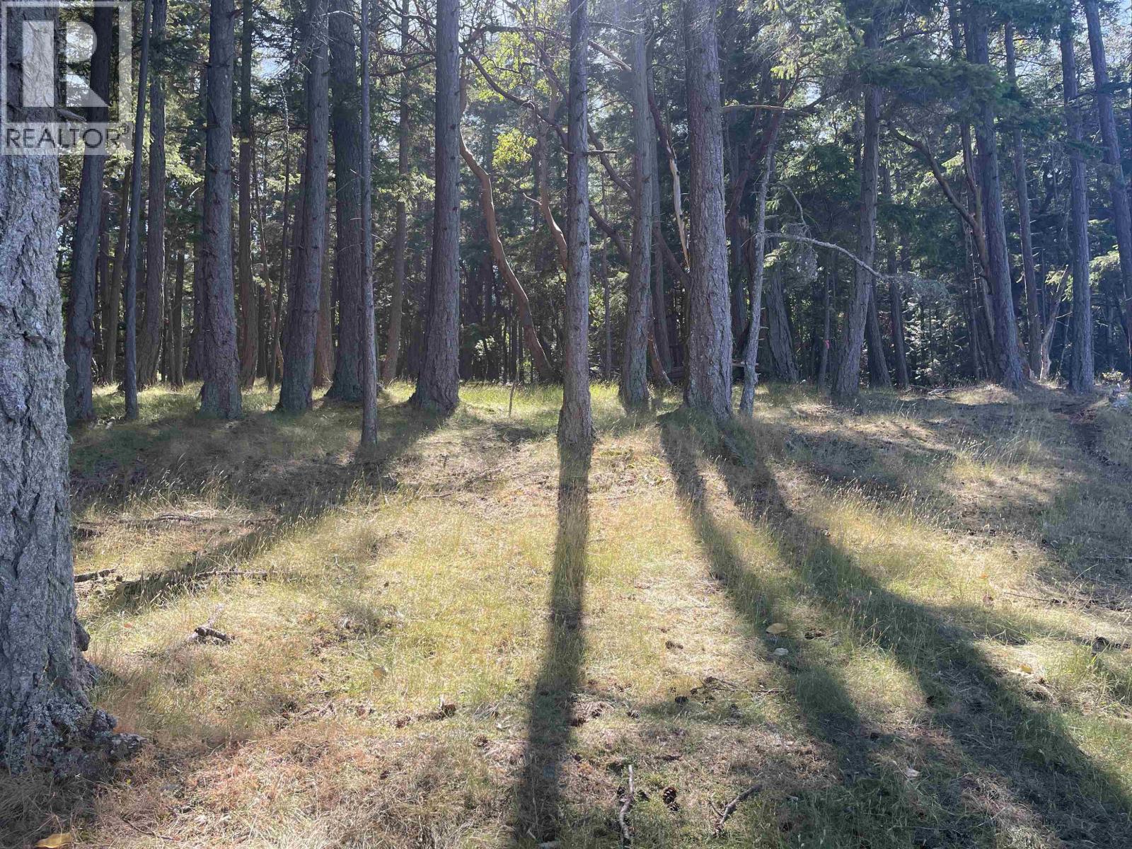 Lot 1 Valdes Island, Other Islands, British Columbia  V0V 0V0 - Photo 18 - R3144900