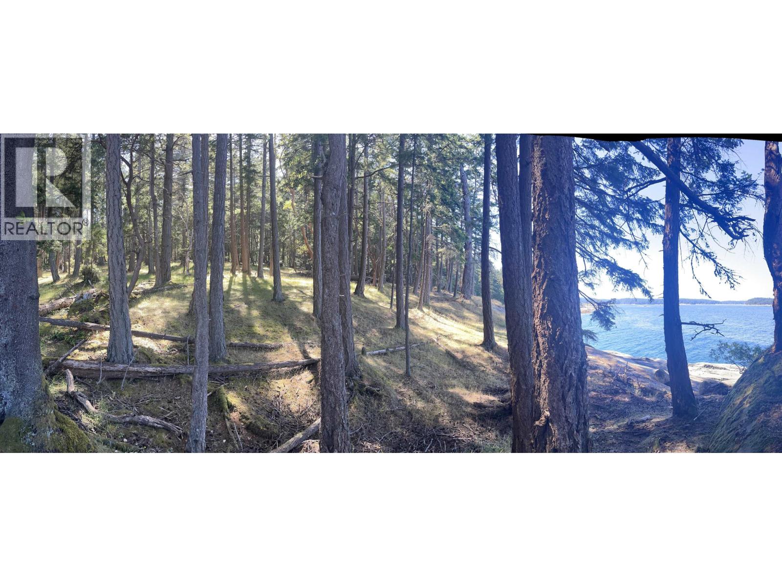 Lot 1 Valdes Island, Other Islands, British Columbia  V0V 0V0 - Photo 13 - R3144900