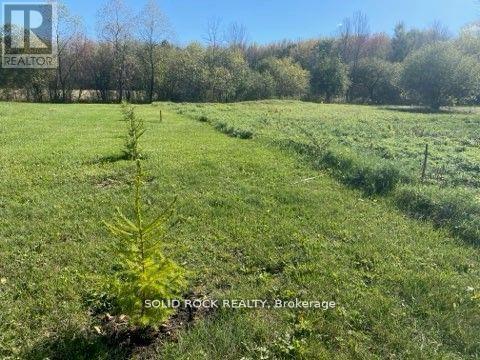 Lot Flagg Road, South Dundas, Ontario K0E 1K0 - Photo 12 - X13563386