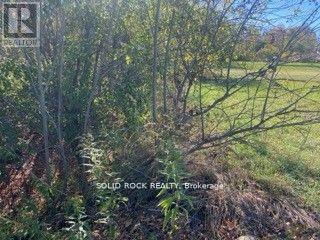 Lot Flagg Road, South Dundas, Ontario K0E 1K0 - Photo 19 - X13563386