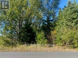 Lot Flagg Road, South Dundas, Ontario K0E 1K0 - Photo 6 - X13563386