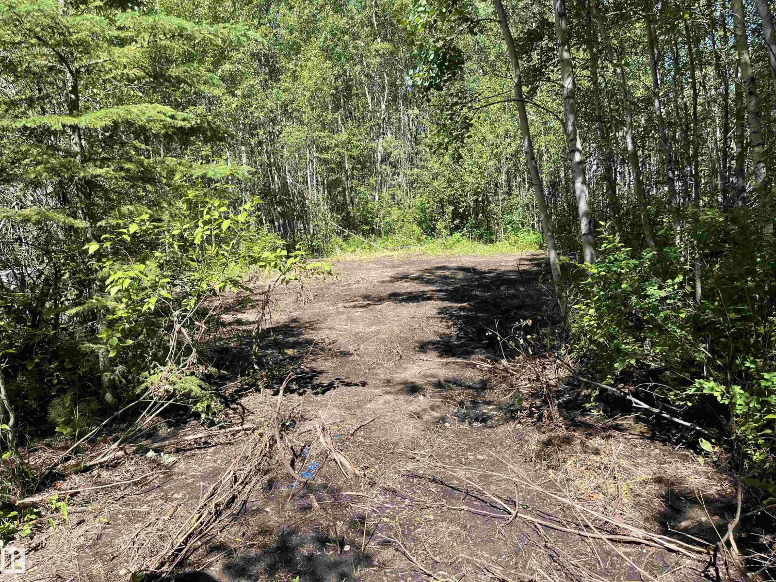 #39 53407 Rge Road 30, Rural Parkland County, Alberta  T0E 1V0 - Photo 5 - E4498205