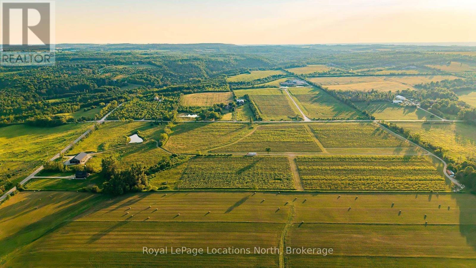 357065 Blue Mountain Euphrasia Town Line, Blue Mountains, Ontario  N0H 2P0 - Photo 15 - X13563638