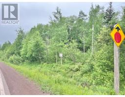 <div class="price">$25,000</div> 11 Point Leamington Highway<br>Northern Arm, Newfoundland & Labrador<br>
