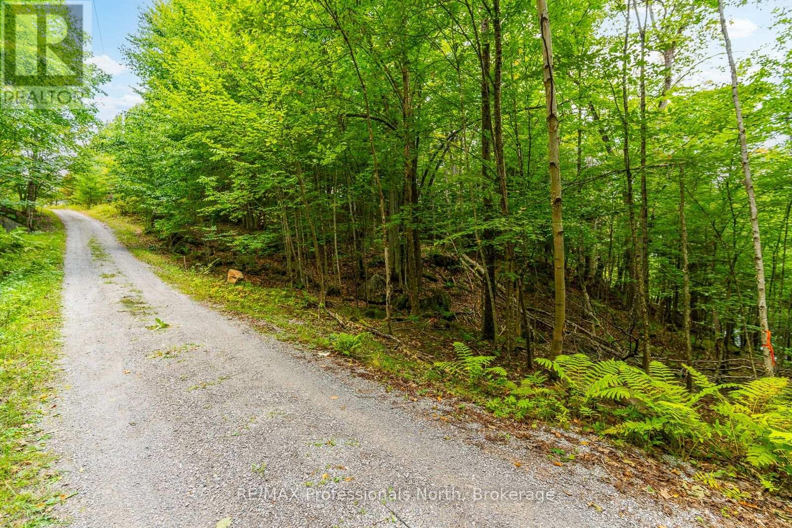 1024 Tarpaper Trail, Dysart Et Al, Ontario  K0M 1S0 - Photo 11 - X13563902