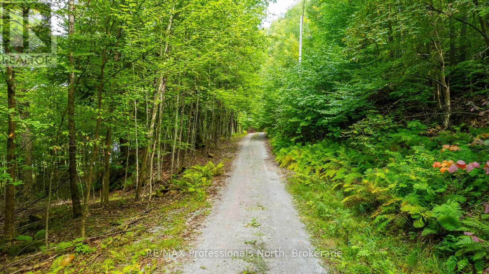 1024 Tarpaper Trail, Dysart Et Al, Ontario  K0M 1S0 - Photo 12 - X13563902