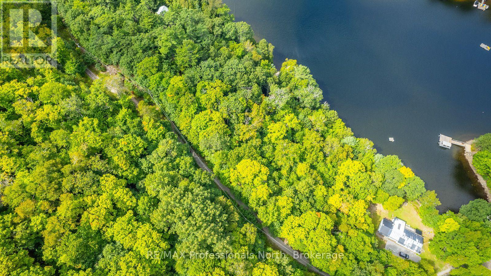 1024 Tarpaper Trail, Dysart Et Al, Ontario  K0M 1S0 - Photo 16 - X13563902