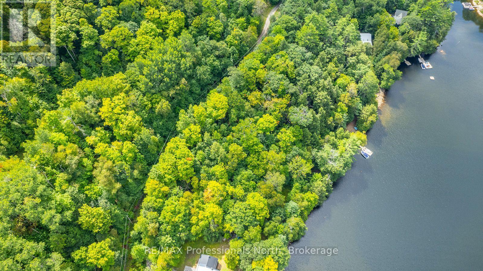 1024 Tarpaper Trail, Dysart Et Al, Ontario  K0M 1S0 - Photo 17 - X13563902