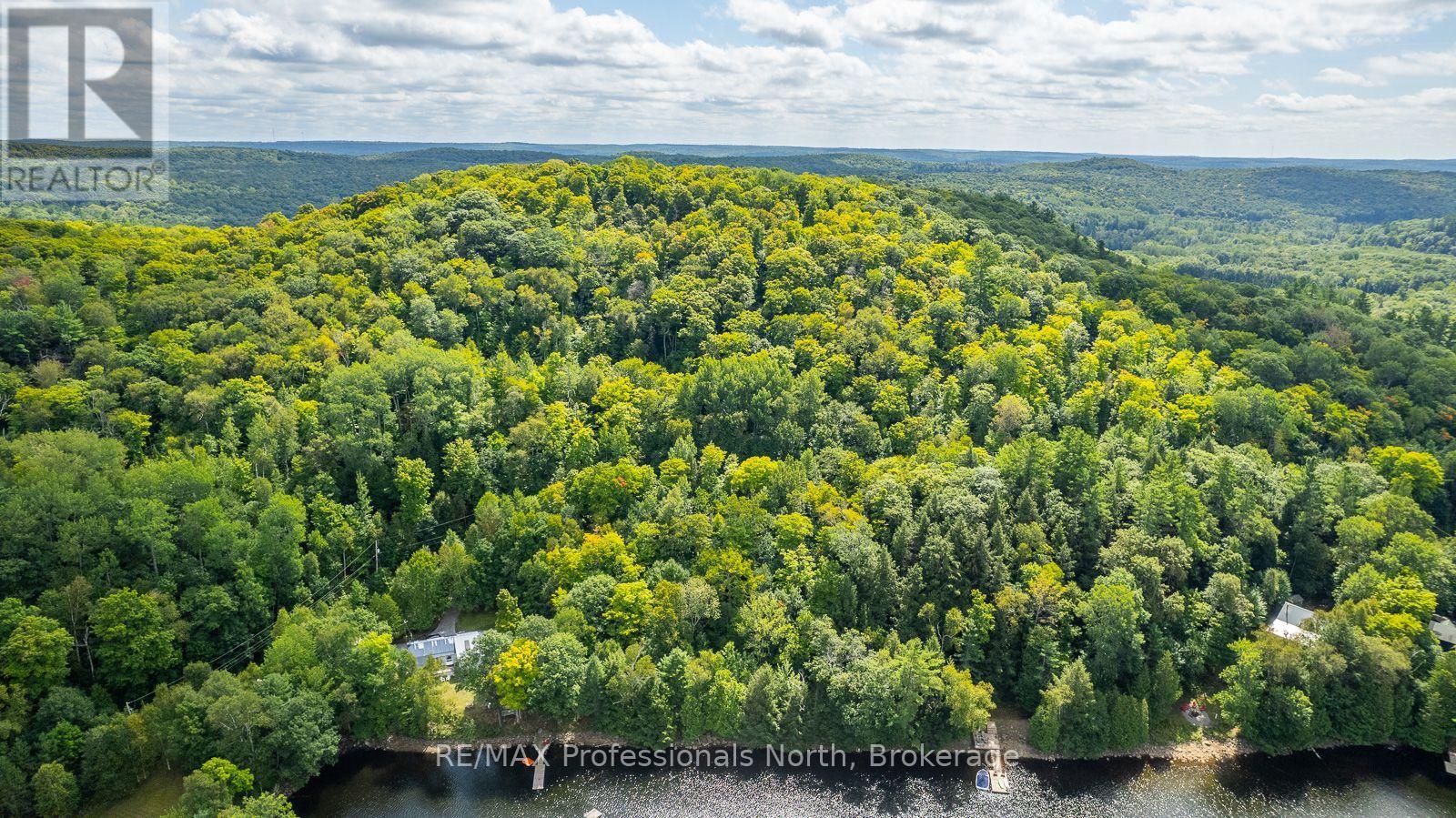 1024 Tarpaper Trail, Dysart Et Al, Ontario  K0M 1S0 - Photo 19 - X13563902