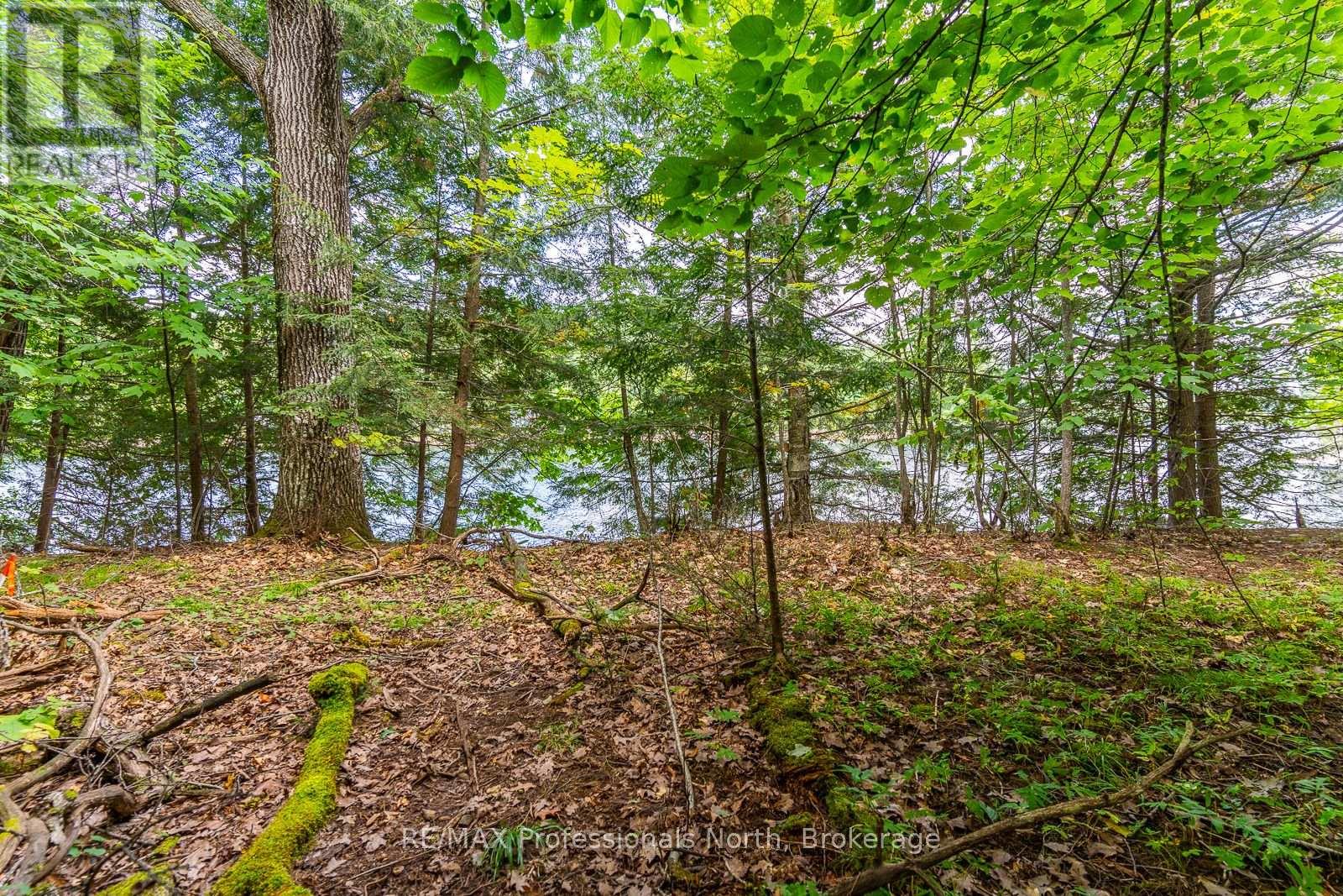 1024 Tarpaper Trail, Dysart Et Al, Ontario  K0M 1S0 - Photo 3 - X13563902