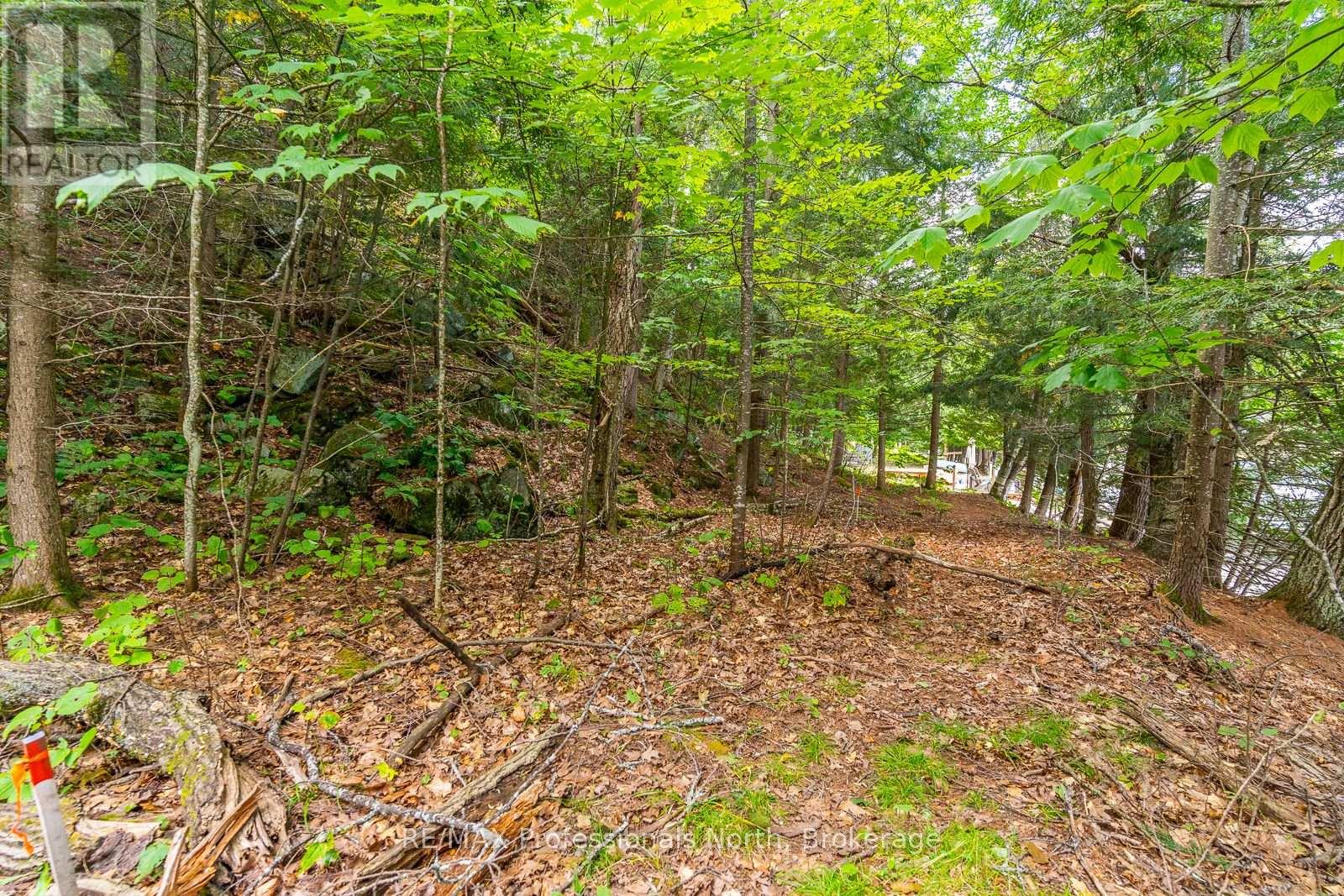 1024 Tarpaper Trail, Dysart Et Al, Ontario  K0M 1S0 - Photo 4 - X13563902