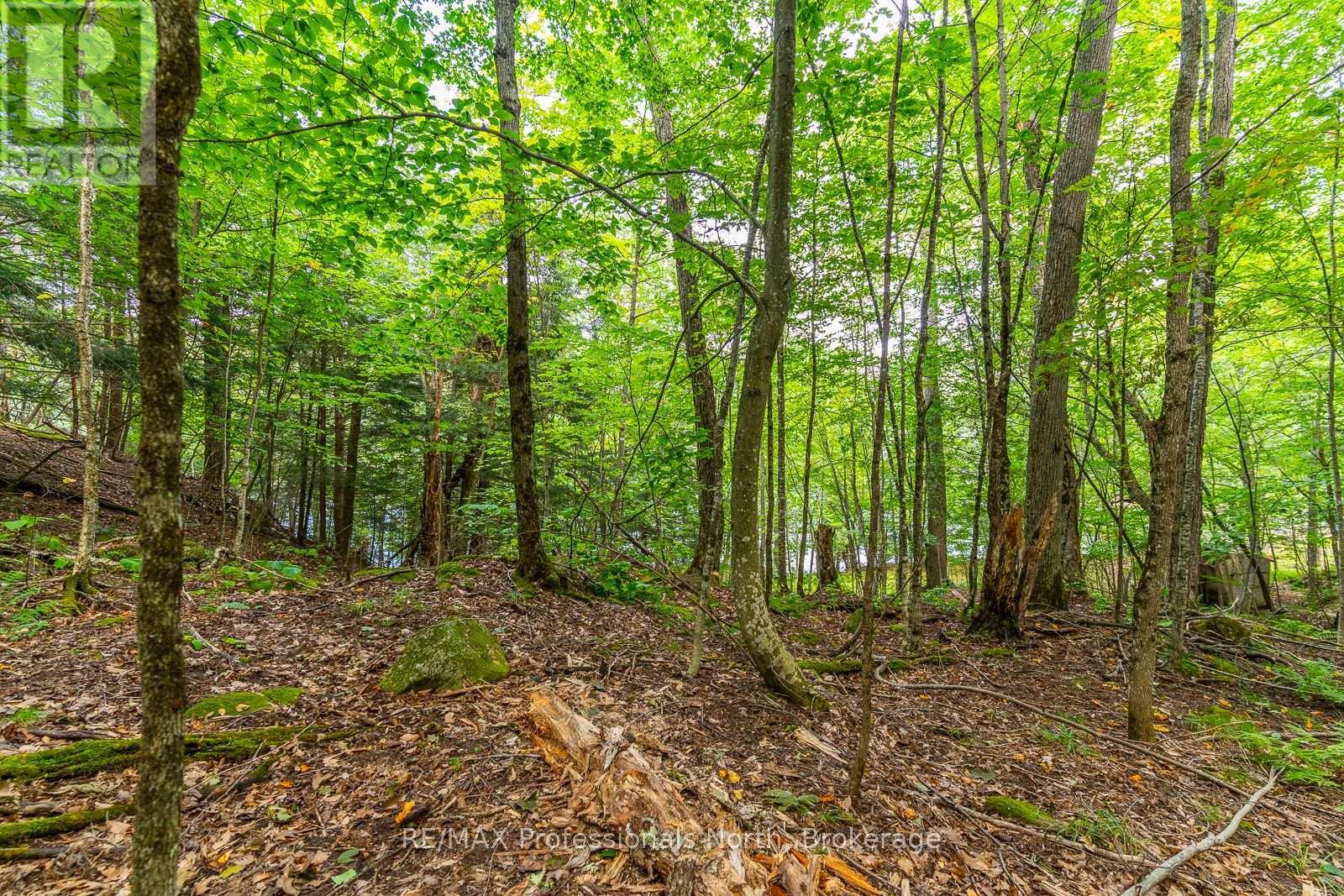 1024 Tarpaper Trail, Dysart Et Al, Ontario  K0M 1S0 - Photo 6 - X13563902