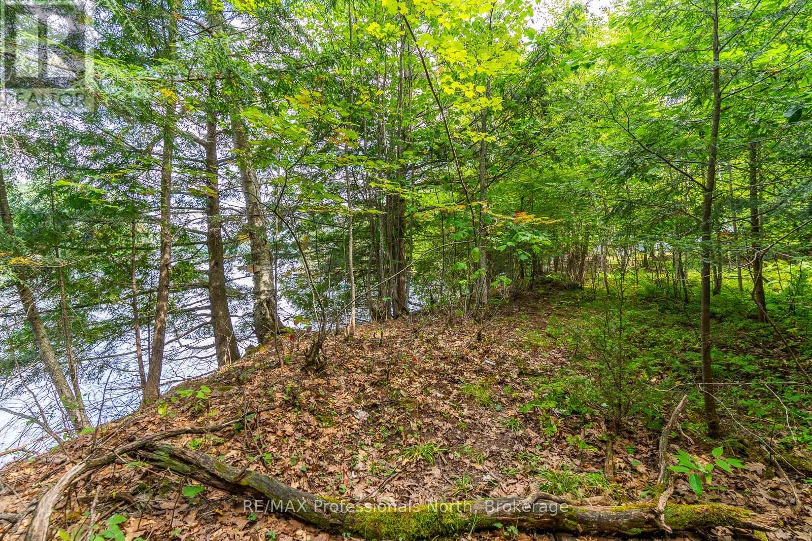 1024 Tarpaper Trail, Dysart Et Al, Ontario  K0M 1S0 - Photo 7 - X13563902