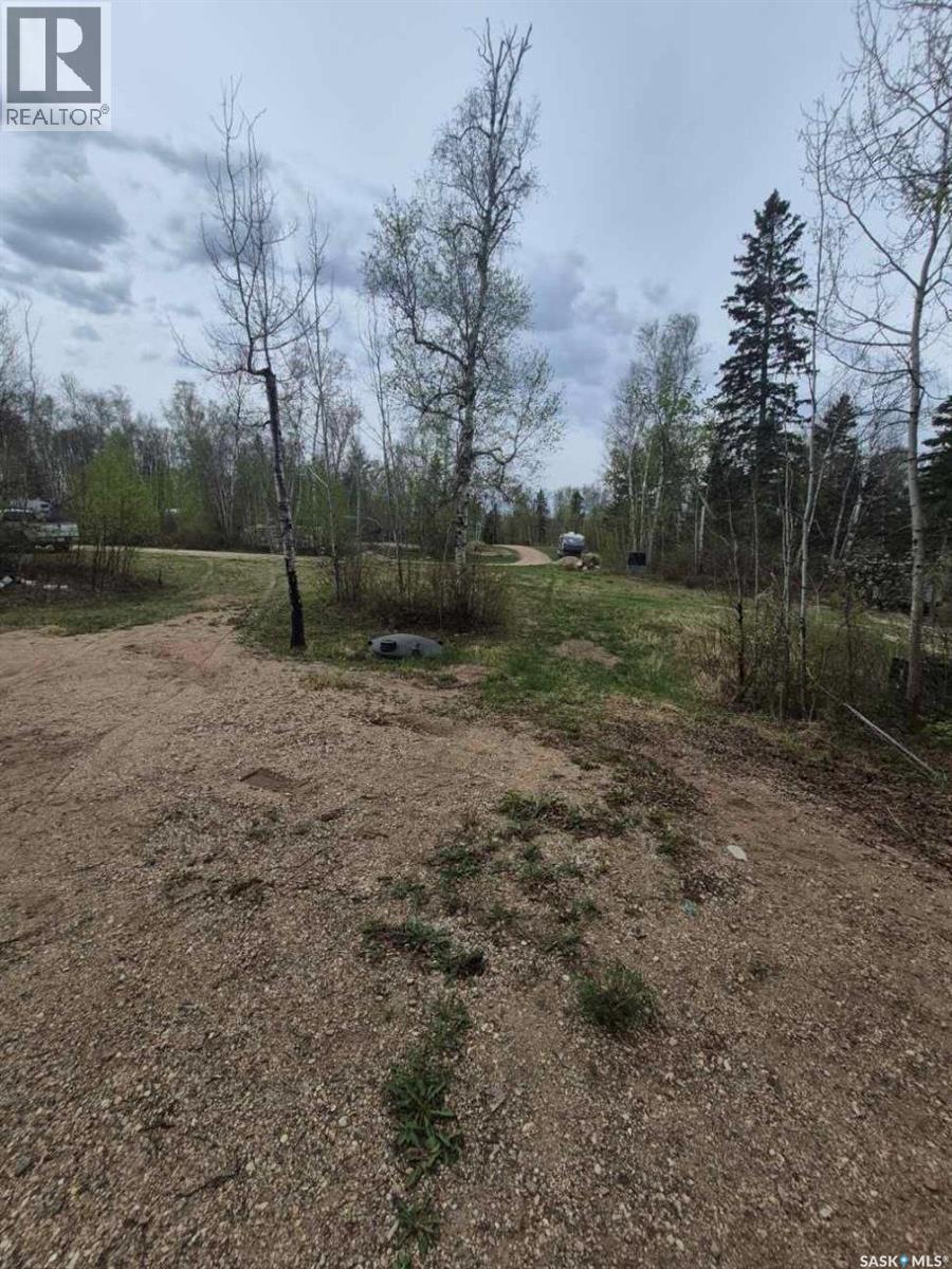 133 Birchwood Avenue, Canwood Rm No. 494, Saskatchewan  S0J 0Y0 - Photo 10 - SK042580