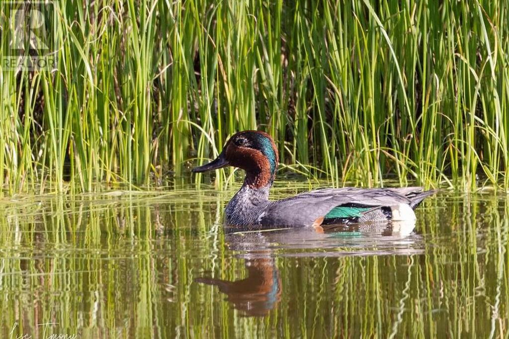 58 Blaffert, Wahnapitae, Ontario  P0M 3C0 - Photo 42 - 2129185