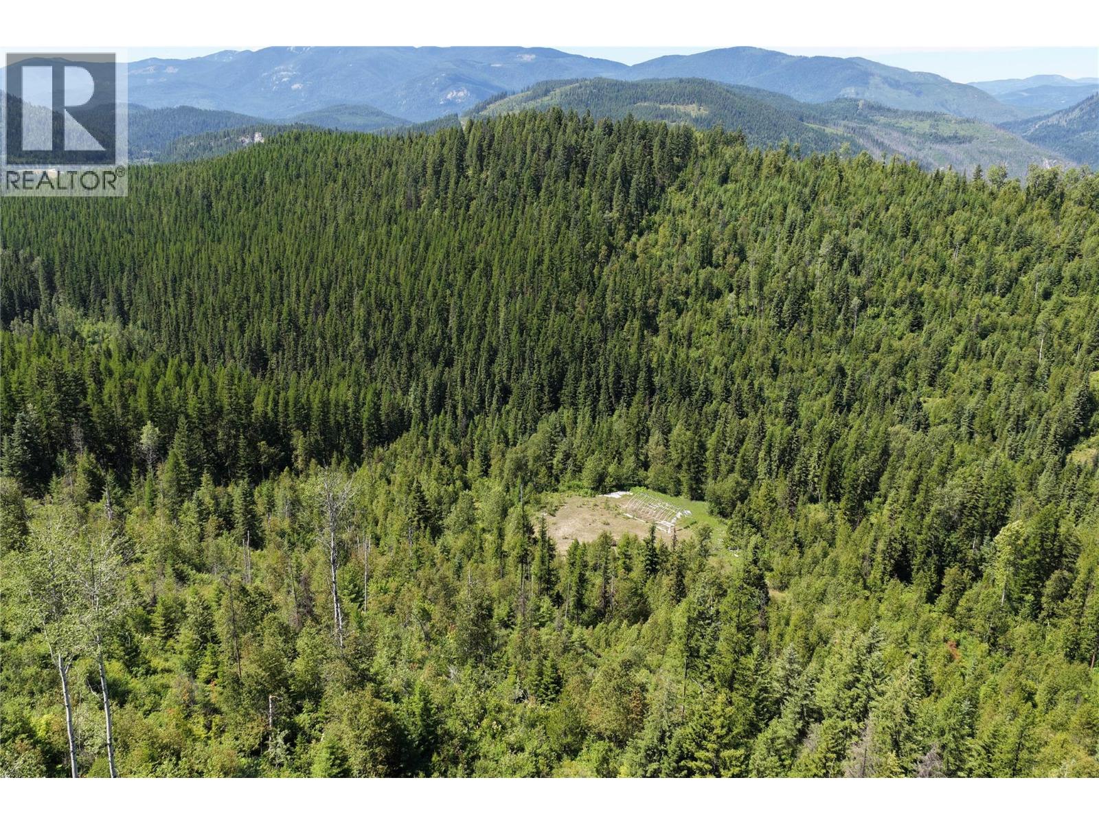 549 Rosebud Lake Road, Salmo, British Columbia V0G 1Z0 - Photo 13 - 10394500