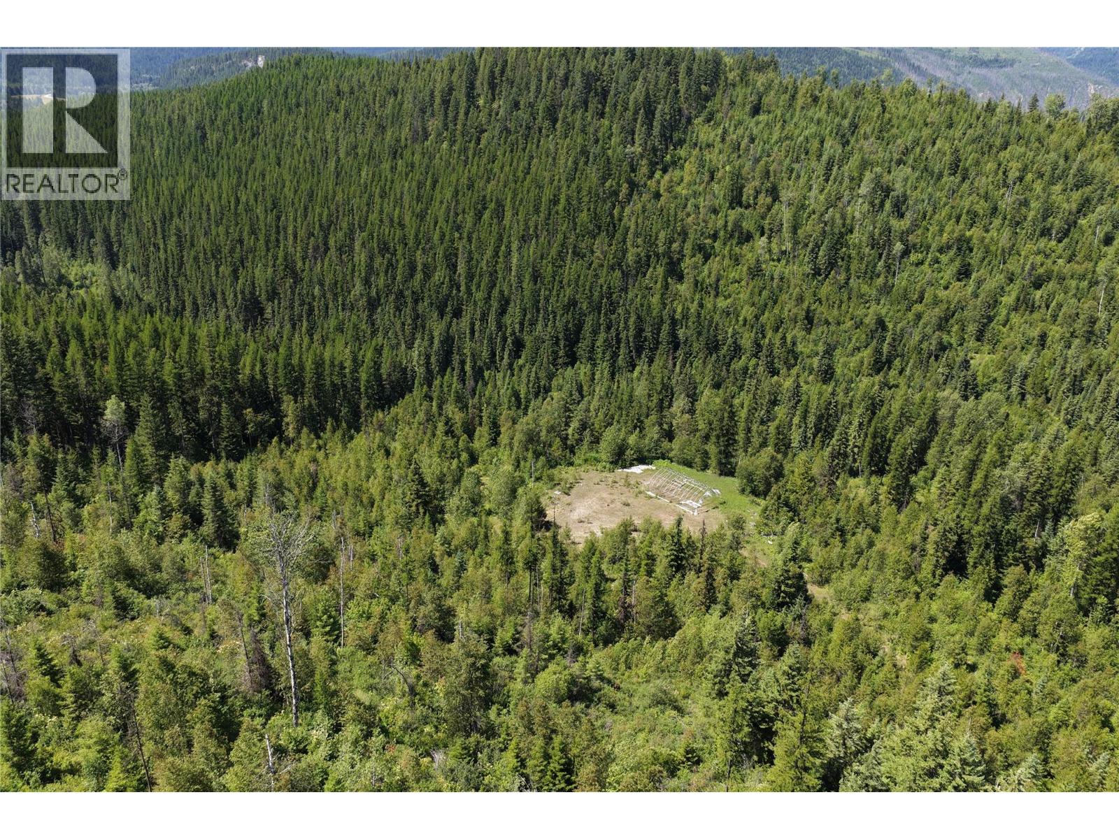 549 Rosebud Lake Road, Salmo, British Columbia V0G 1Z0 - Photo 14 - 10394500
