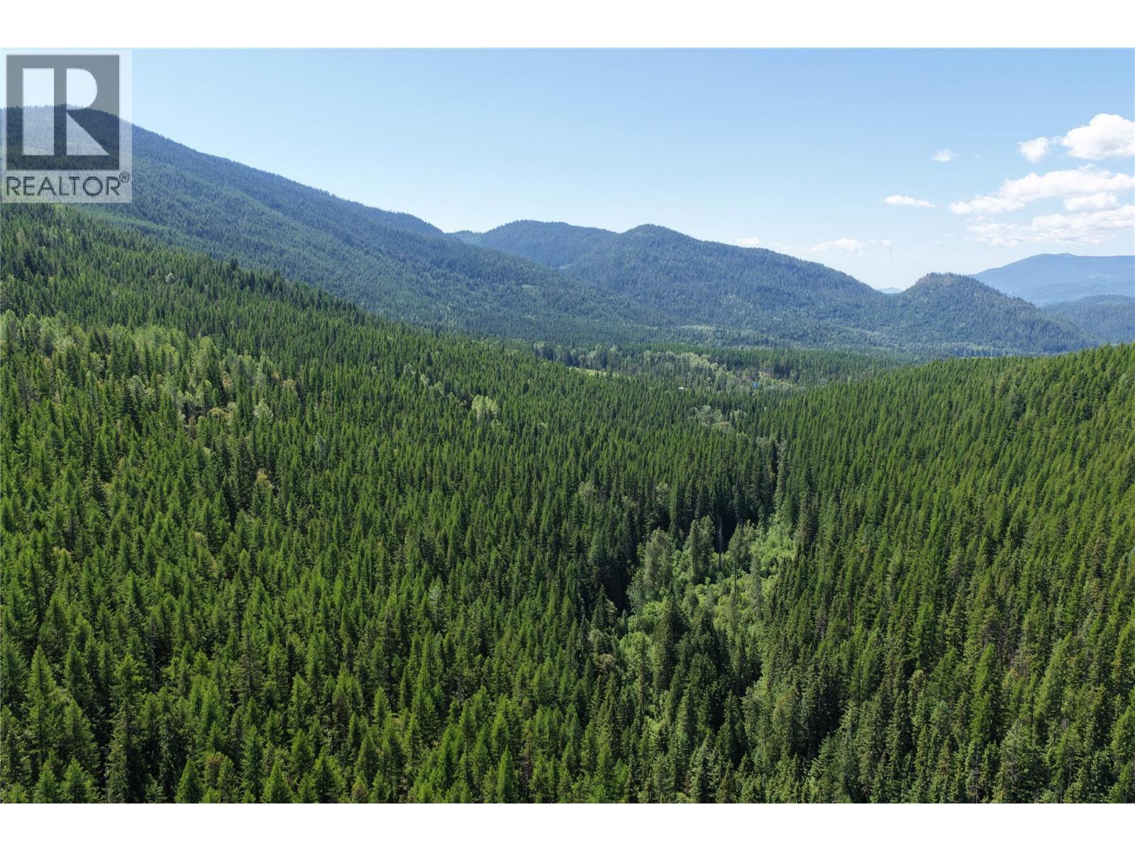 549 Rosebud Lake Road, Salmo, British Columbia V0G 1Z0 - Photo 4 - 10394500