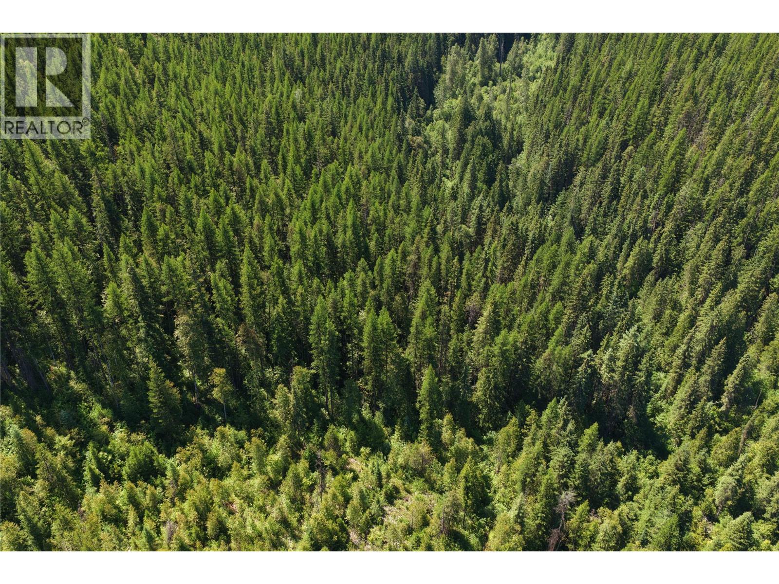 549 Rosebud Lake Road, Salmo, British Columbia V0G 1Z0 - Photo 5 - 10394500