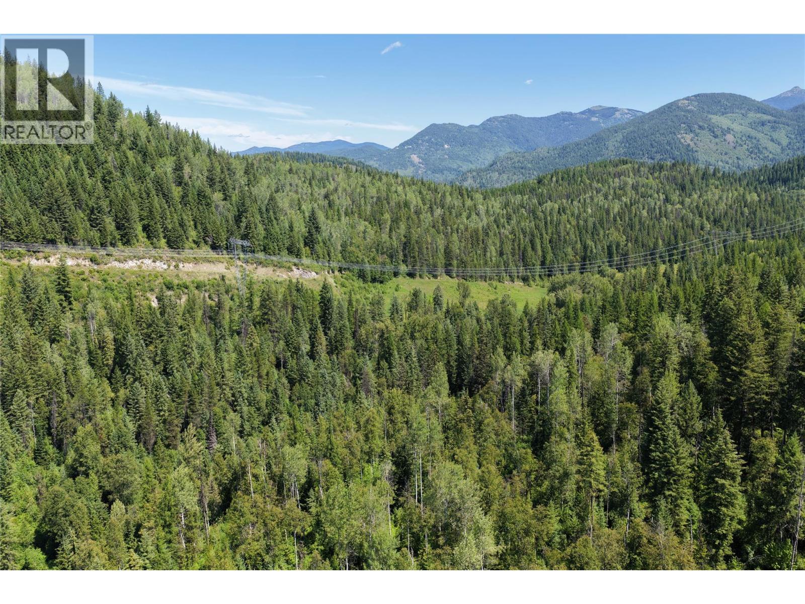 549 Rosebud Lake Road, Salmo, British Columbia V0G 1Z0 - Photo 6 - 10394500