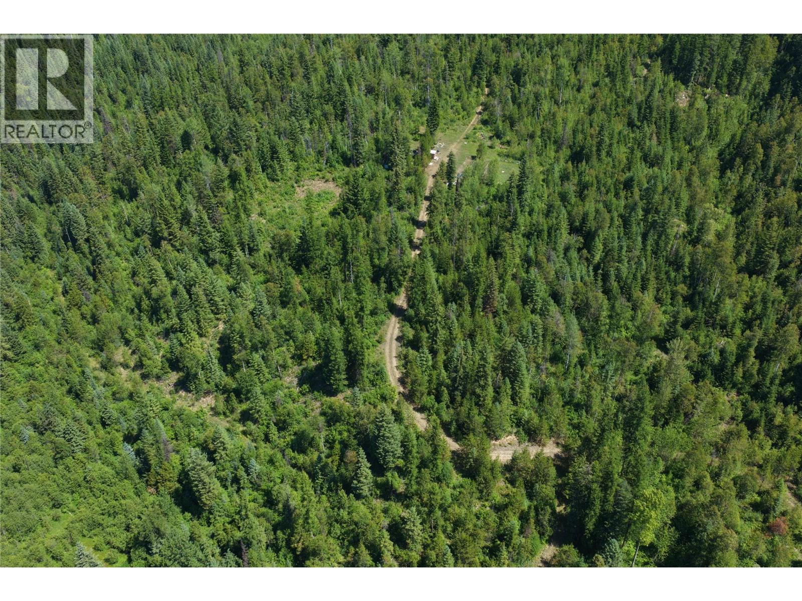 549 Rosebud Lake Road, Salmo, British Columbia V0G 1Z0 - Photo 8 - 10394500