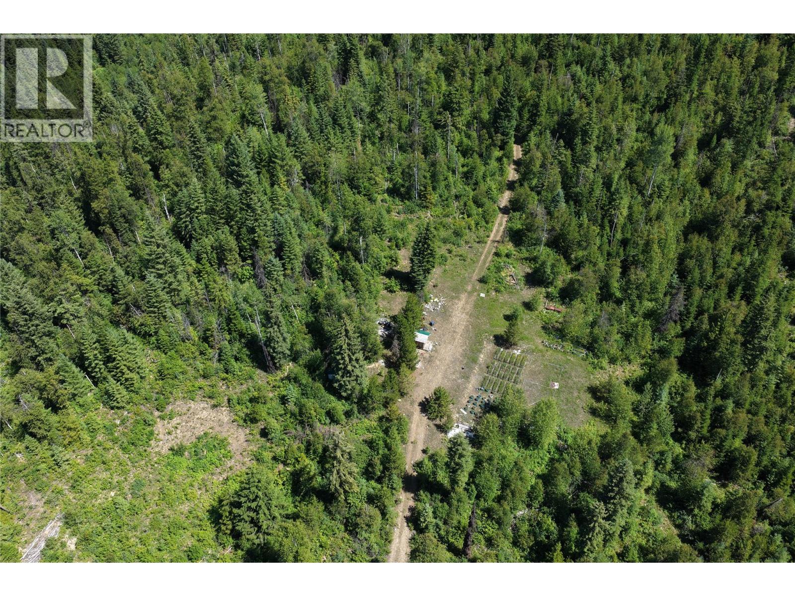 549 Rosebud Lake Road, Salmo, British Columbia V0G 1Z0 - Photo 9 - 10394500