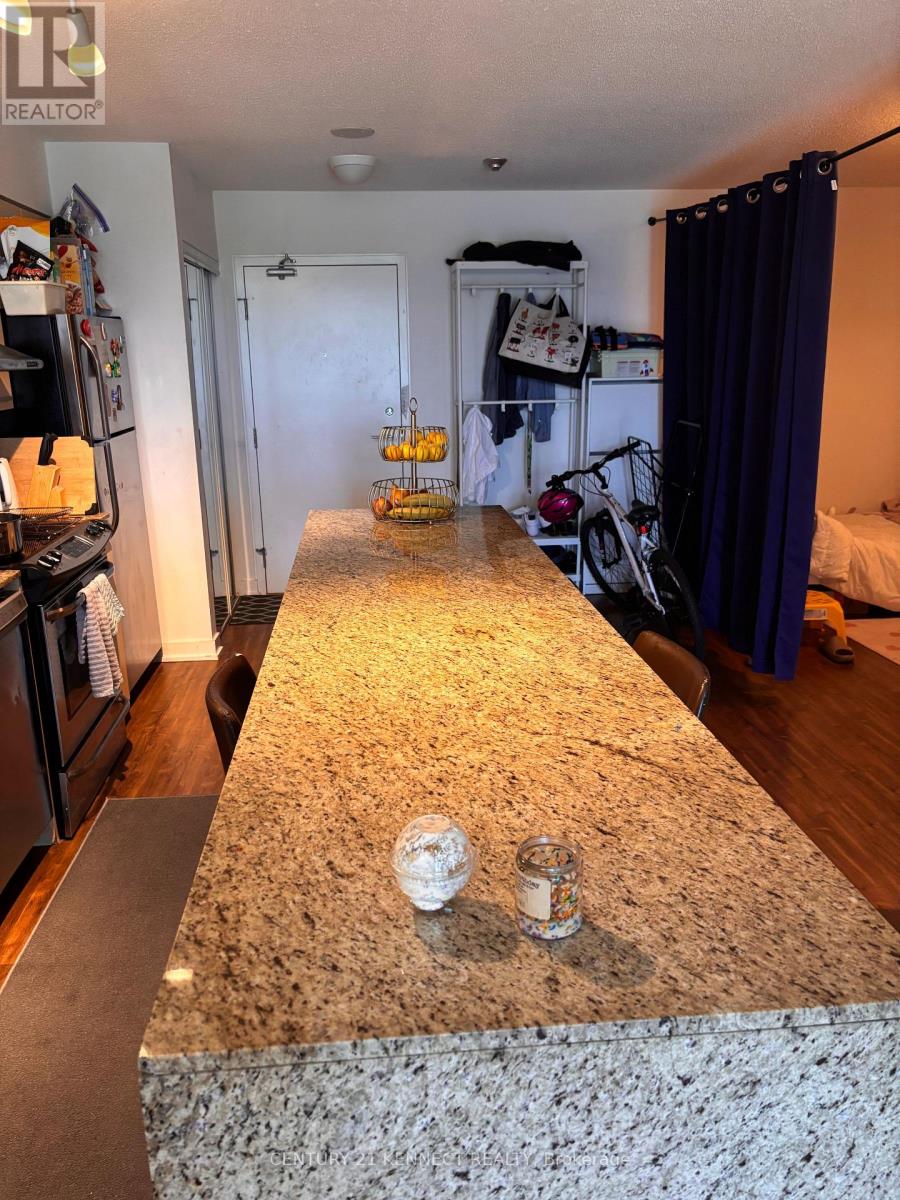 206 - 19 Singer Court, Toronto, Ontario  M2K 0B2 - Photo 15 - C13564060