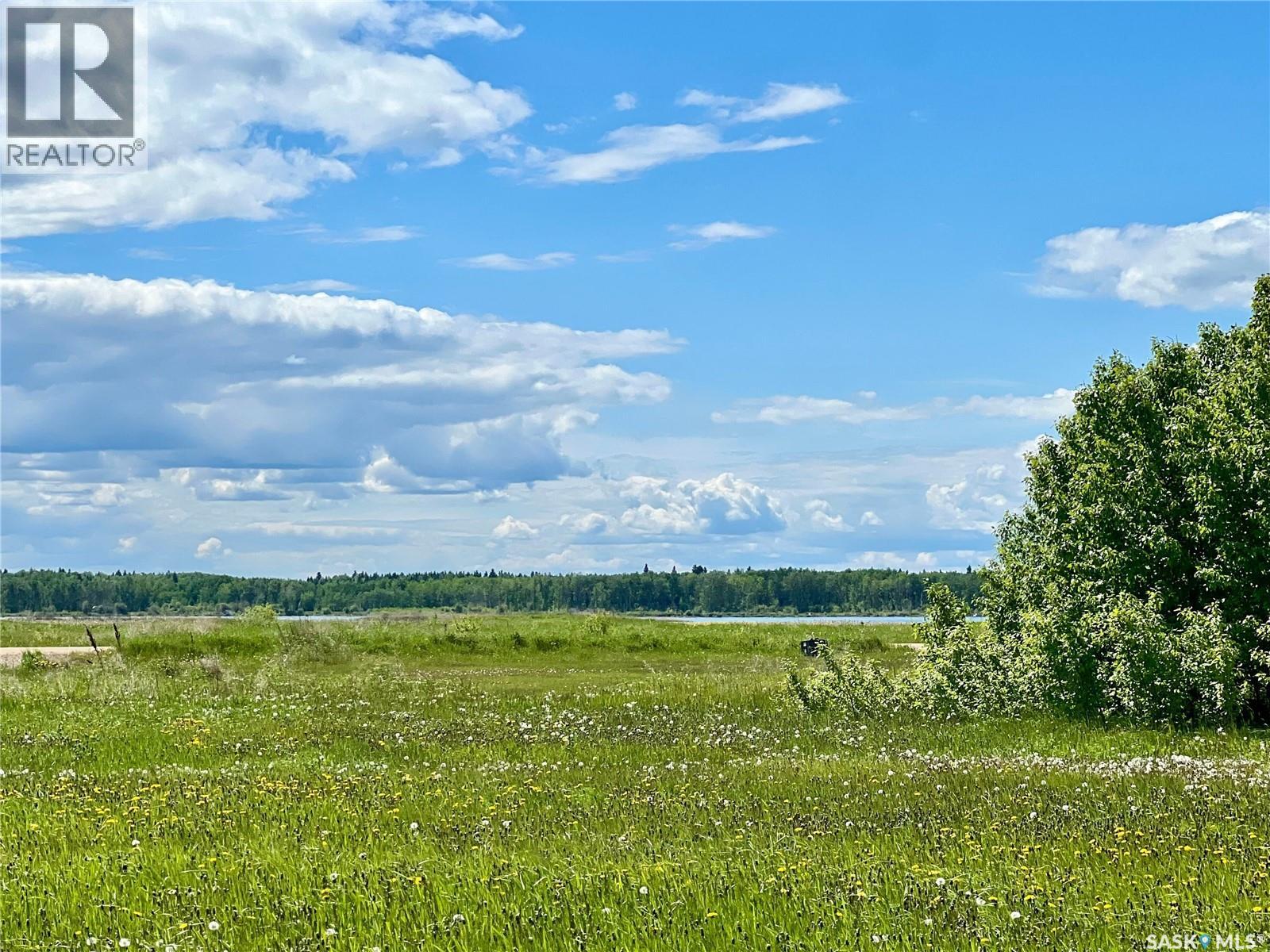 Block C, Porcupine Drive, Delaronde Lake, Saskatchewan  S0J 0E0 - Photo 7 - SK042593