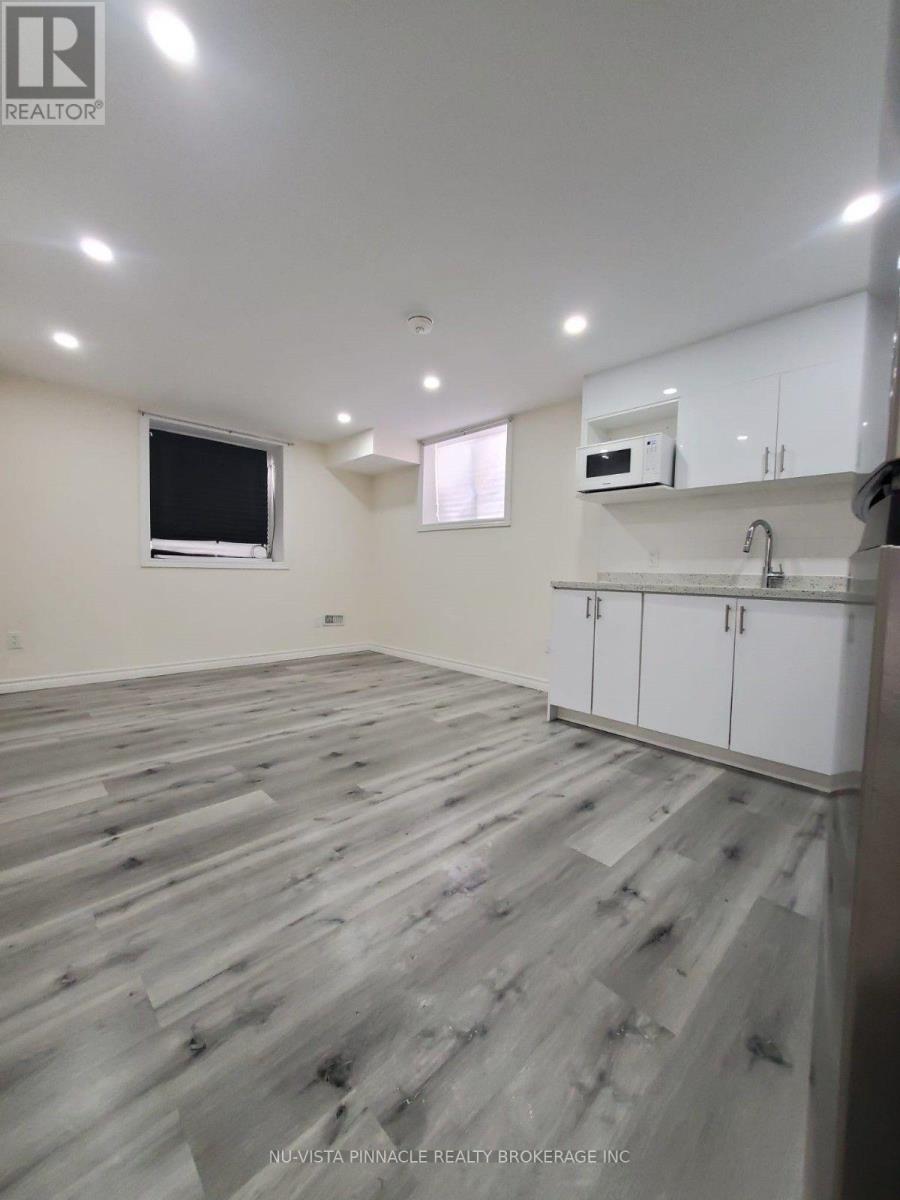 Lower - 289 Middleton Avenue, London South, Ontario  N6L 0E9 - Photo 10 - X13564496