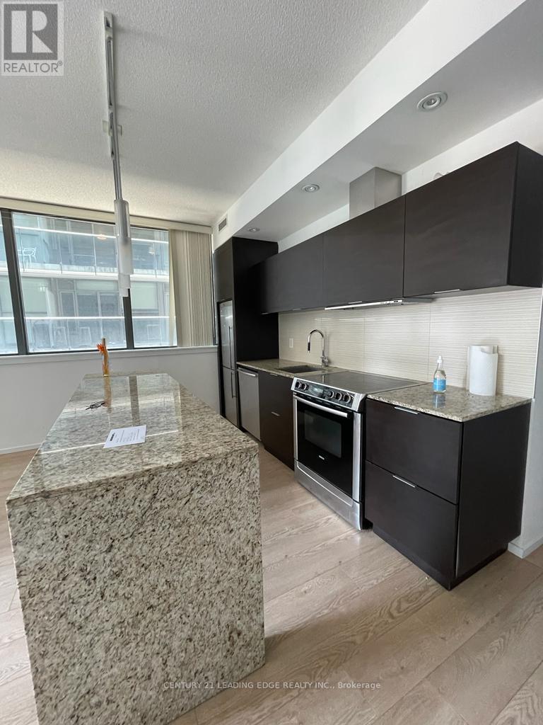 302 - 8 Charlotte Street, Toronto, Ontario  M5V 0K4 - Photo 4 - C13564656