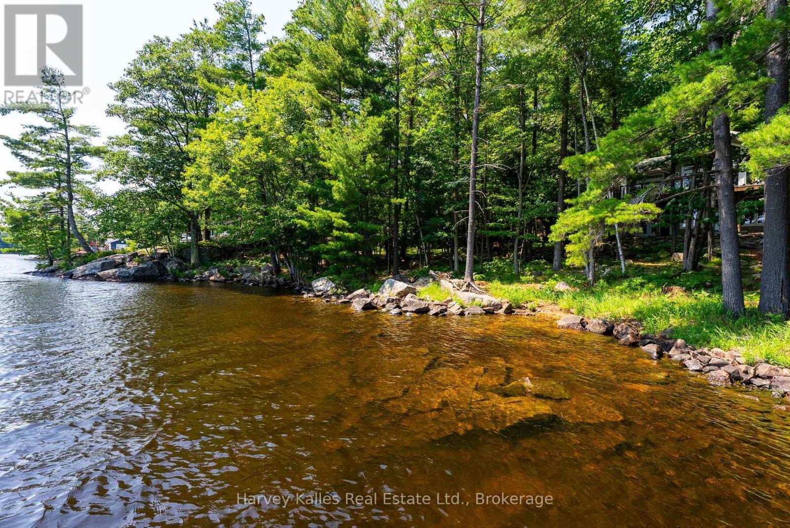 37-M81 Pine Island, Muskoka Lakes, Ontario  P0B 1E0 - Photo 45 - X13564852