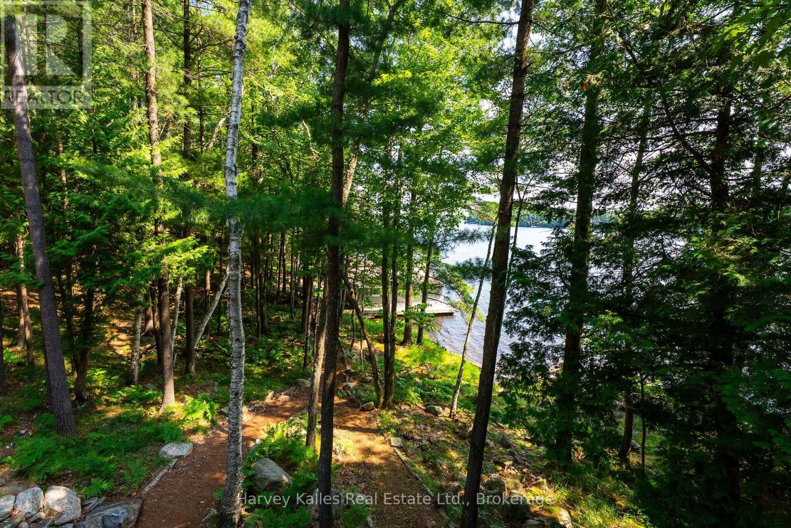 37-M81 Pine Island, Muskoka Lakes, Ontario  P0B 1E0 - Photo 47 - X13564852