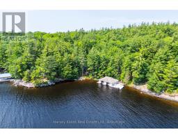 37-M81 PINE ISLAND, Muskoka Lakes, Ontario