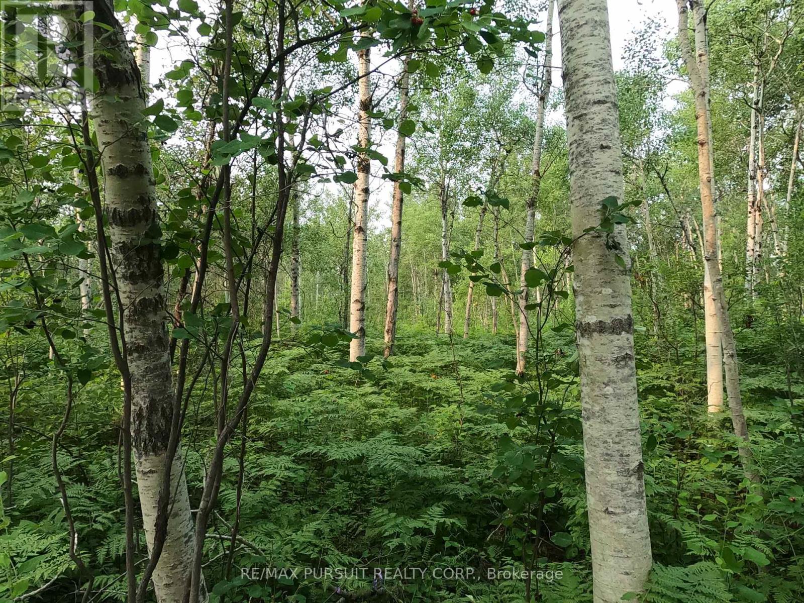 Pt N 1/2 Lt 11 Con 3 Quarry Road, Temiskaming Shores, Ontario  P0J 1K0 - Photo 11 - T13564800