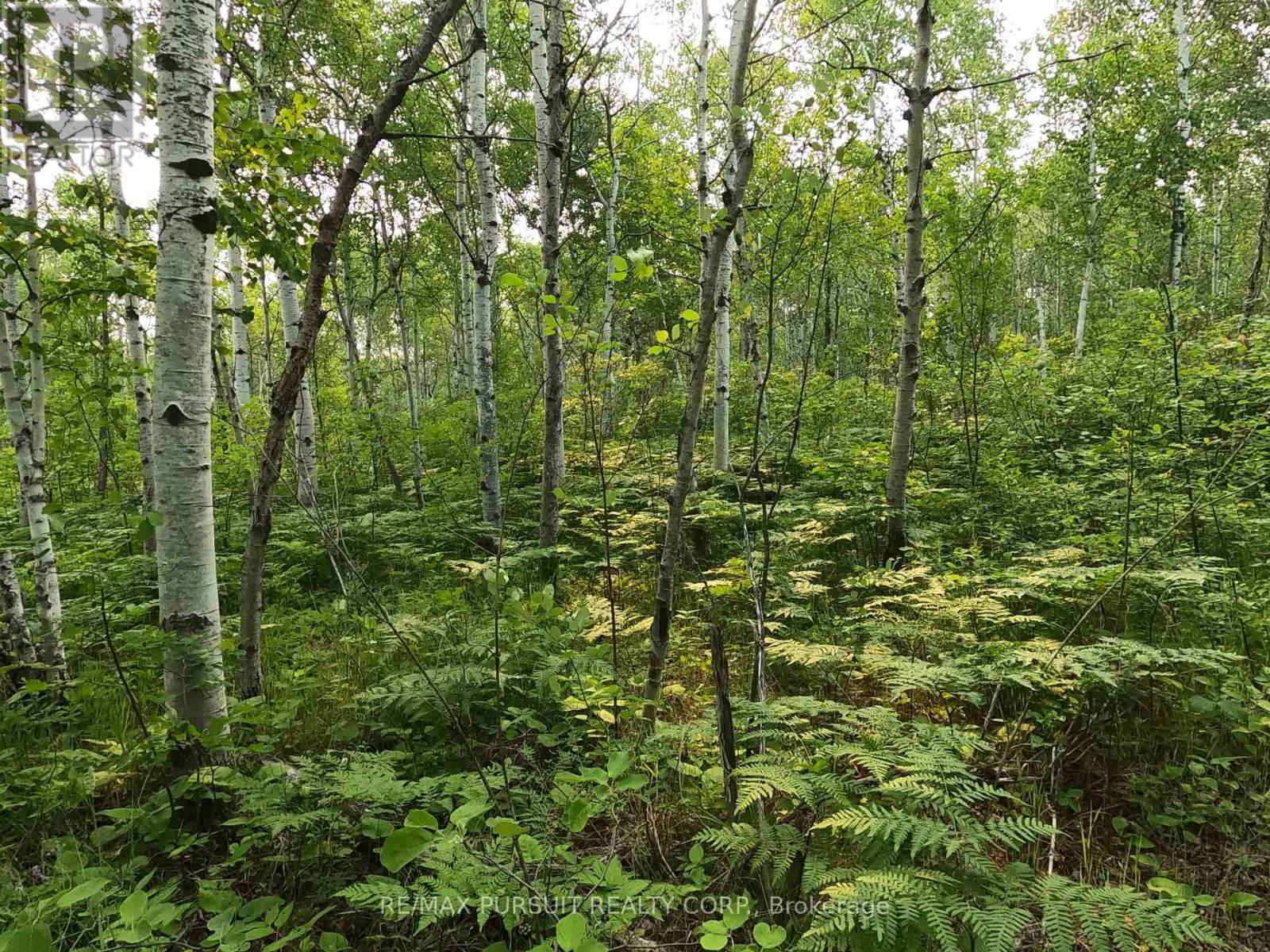Pt N 1/2 Lt 11 Con 3 Quarry Road, Temiskaming Shores, Ontario  P0J 1K0 - Photo 12 - T13564800