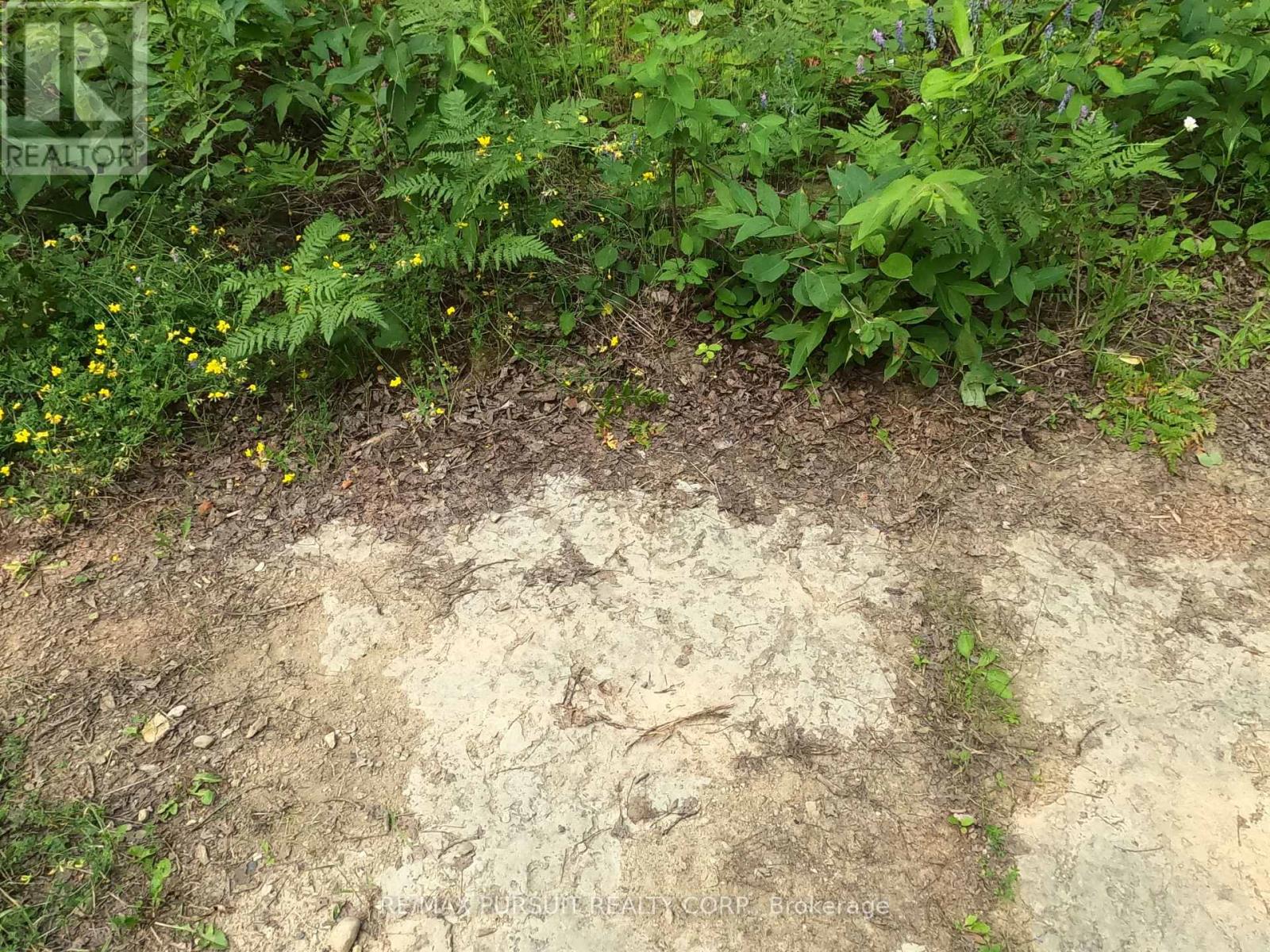 Pt N 1/2 Lt 11 Con 3 Quarry Road, Temiskaming Shores, Ontario  P0J 1K0 - Photo 13 - T13564800