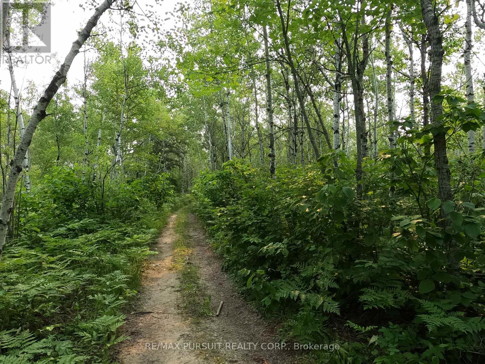 Pt N 1/2 Lt 11 Con 3 Quarry Road, Temiskaming Shores, Ontario  P0J 1K0 - Photo 5 - T13564800