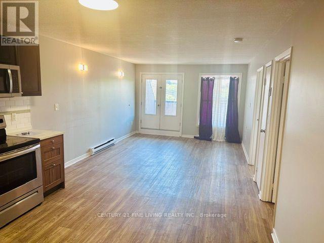 8 - 19 Church Street N, New Tecumseth, Ontario  L9R 1L6 - Photo 26 - N13218936