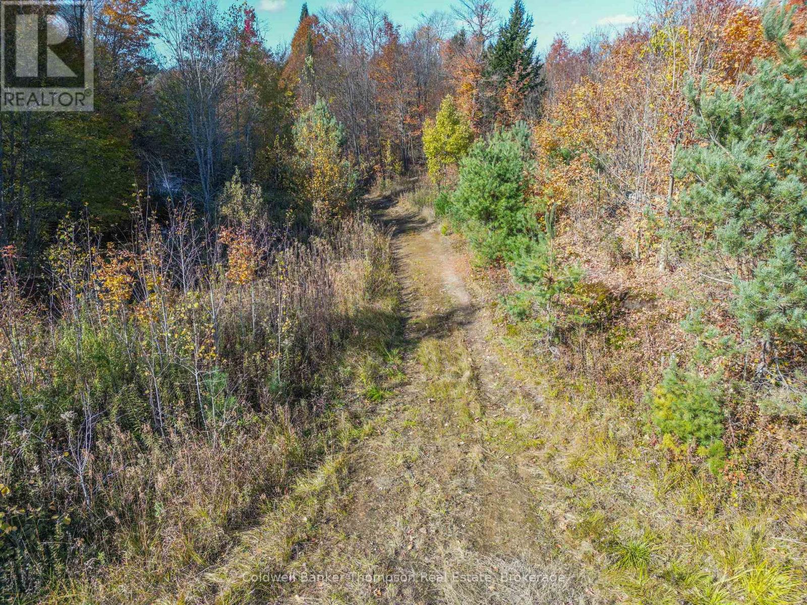 3051 Yearley Road, Huntsville, Ontario P0A 1R0 - Photo 12 - X13564976